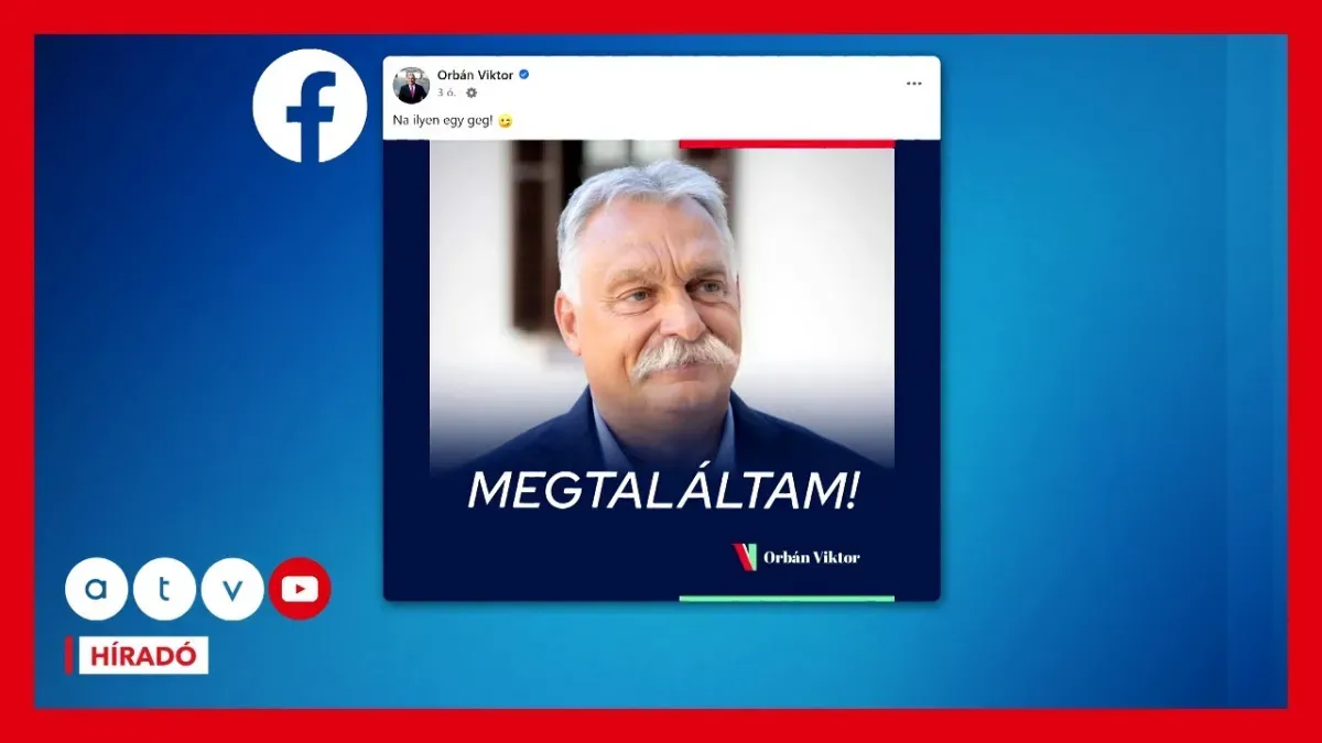Majka Performansza és a Politikai Utóhangok