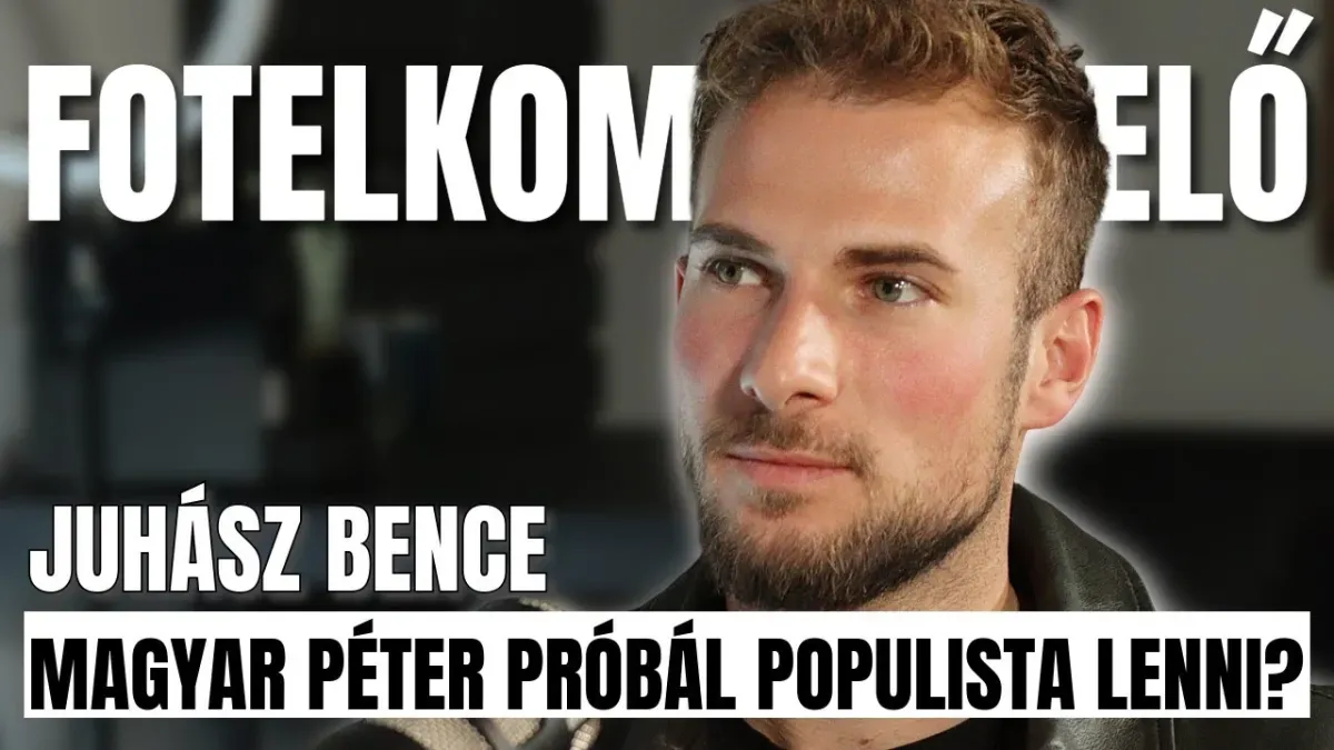 Politológusok és aktivisták szerepkülönbségei a magyar politikai diskurzusban